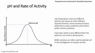 Chapter 32 Factors that Affect Enzyme Activity [upl. by Yekram318]