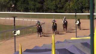 Gympie 20240615 Race 3 [upl. by Eloci729]