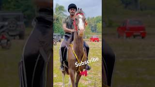 horse kerala youtubeshorts subscribe [upl. by Anilem]