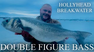 HUGE BASS Holyhead Breakwater UK Sea Fishing [upl. by Ajat]