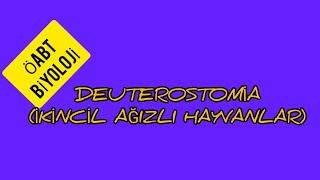 39 DEUTEROSTOMİA İKİNCİL AĞIZLI HAYVANLAR  ÖABT BİYOLOJİ [upl. by Naicad]