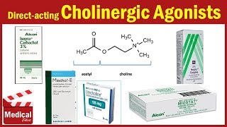 Pharmacology ANS 6 Direct Acting Cholinergic Agonists  Acetylcholine  Carbachol  Methacholine [upl. by Talich]