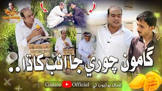 Gamoo Chori Ja Amb Khada  Asif Pahore Gamoo  New Comedy  Funny Video  Gamoo New Video  2024 [upl. by Leak]