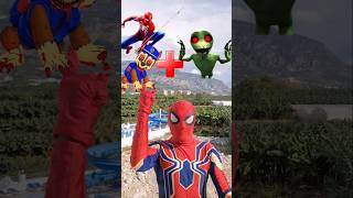 Spiderman and Chase Paw Patrol EXE  Dame Tu Cosita EXE  Marvel Animation [upl. by Attela]