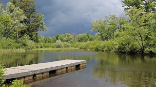 Rainy Camping Adventure in Bonnechere Provincial Park  Part 1 [upl. by Dareen385]