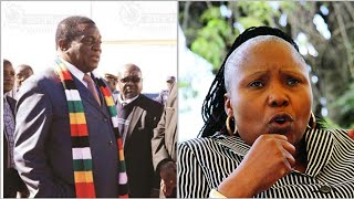 Controversy As Muchinguri Points Thieves In ZANU PF [upl. by Hentrich823]