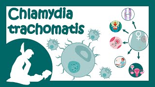 Chlamydia trachomatis  Chlamydial infection  Sexually transmitted disease  Treatment of Chlamydia [upl. by Hax]