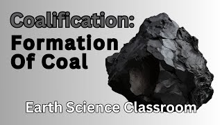 How Does Coal Form What Is Coalification [upl. by Llednil]