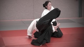 Aikido OKAMOTO Yoko Sensei  Seminar in Offenbach 2014 [upl. by Llydnek457]