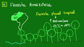 Floresta Amazônica  Ecologia  Biologia [upl. by Carbone660]