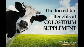 Bovine Colostrum as an Immune Modulator for man and animal [upl. by Annek626]