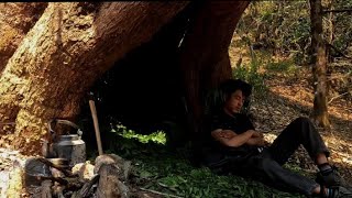 11 hours tree hole in survival shelter camping [upl. by Kermy]