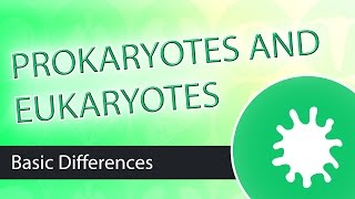 Prokaryotic and Eukaryotic Cell Differences [upl. by Pontias]