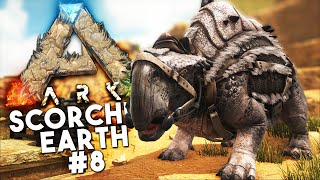 ARK Scorched Earth DLC Episode 8  TAMING A MORELLATOPS Ark Survival Evolved [upl. by Rosy]