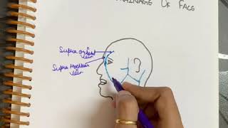 VENOUS DRAINAGE OF FACEEasy explanation [upl. by Adamsen]