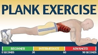 How to Plank exercise  The Ultimate Fitness Guide [upl. by Ahseet]