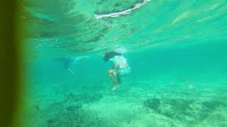 Snorkeling in Cozumel Mexico [upl. by Edora988]