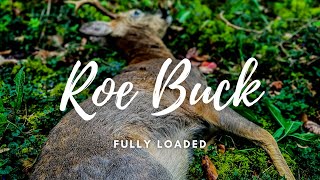 Roe Buck  Fully Loaded  Deer Stalking 2023  Hunter Gatherer Cooking HGC [upl. by Inaoj]