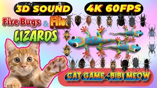 CAT GAMES TOM TV amp BiBi  Ultimate Compilation Catching The LIZARDS  Flies FireBugs🦎11 HOUR🦎Vol 53 [upl. by Gerfen]