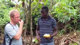 Visiting a cocoa farm in the Ivory Coast  Part 1 [upl. by Eivod303]