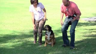 Pet Photography Ep 202 Digital Photography 1 on 1 Adorama Photography TV [upl. by Bezanson]