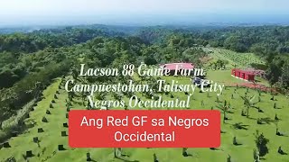 EP558 part 2 Ang Red GF sa Campuestohan TAlisay City Negros Occidental [upl. by Enoyrt]