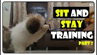 Training Sit and Stay Command to my shih tzu puppy  Home Training  Part2 [upl. by Meenen]