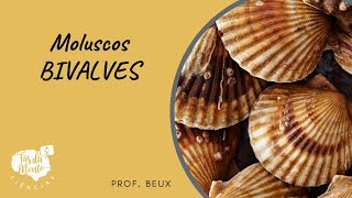 MOLUSCOS  BIVALVES  Ensino Fundamental [upl. by Pigeon553]