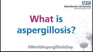 What is Aspergillosis [upl. by Alyson]