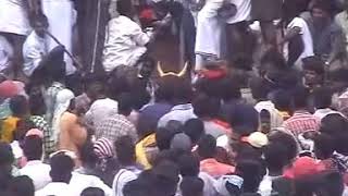 Madurai1995 old jallikattu [upl. by Aneeres]