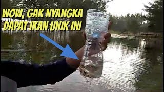 Lihat hasilnya bos  Seperti inilah cara membuat perangkap ikan dari botol bekas [upl. by Noinatrad]