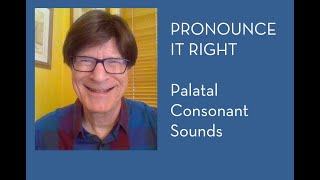 Palatal Consonants [upl. by Huskamp]