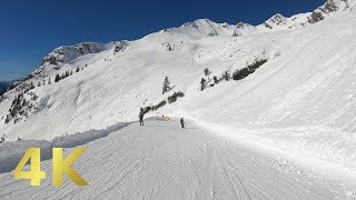 Nebelhorn  Germanys longest skislope CompleteDownhill 2019  75km Uncut [upl. by Anilehcim]