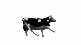 Polish Cow Full Song [upl. by Jonah]