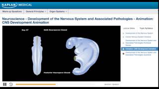 USMLE® Step 1 Neuroscience Development of CNS Animation [upl. by Cahilly41]