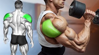 5 Best Rear Delt Exercise DUMBBELL ONLY [upl. by Adelind]