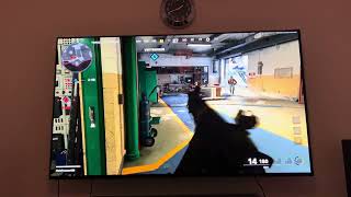 GAMING ON 83“ OLED SONY A80L WITH HEATSINK  COD COLD WAR 4K HDR [upl. by Anneliese371]