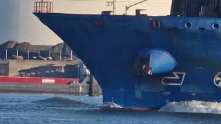 CARGO SHIP IN MOTION CARGO SHIP SPOTTED IN ROTTERDAM 202 [upl. by Cirri896]