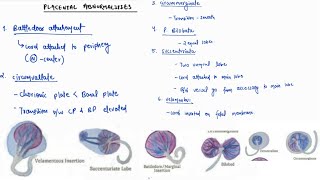 PLACENTAL ABNORMALITIES NOTES  OBSTETRICS  ONE PAGE NOTES  4TH PROFF MBBS [upl. by Nue]