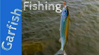 How to catch Garfish using the worlds cheapest bait [upl. by Janeen241]