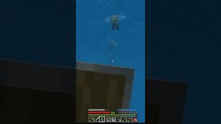 brincando com abelhas D minecraft abelhas multiplayer minecraftbedrock minecraftmemes [upl. by Magan19]