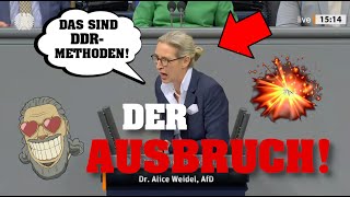 WEIDEL rastet aus Die Zerstörung von Merz und KONSORTEN 💥⚡️ [upl. by Llecram]