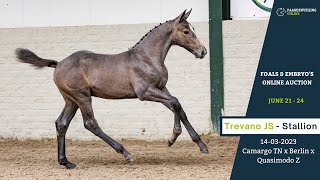 Trevano JS – Foals amp Embryo’s Online Auction – Paardenveilingonlinecom [upl. by Nitfa617]