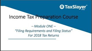 Filing Status and Filing Requirements for Tax Returns [upl. by Aamsa47]