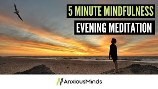 5 Minute Mindfulness  Evening Meditation [upl. by Carley]