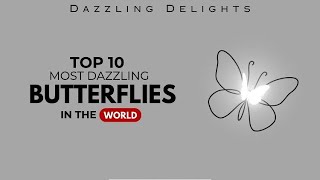 Top 10 amazing Butterflies in the World  You wont Believe are Real  Nature Beauty [upl. by Albina930]