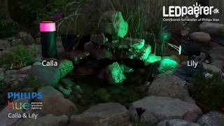 Philips Hue Outdoor  Lily amp Calla [upl. by Telford500]