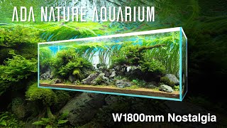 ADAview W1800mm Nature Aquarium Layout Nostalgia【ENJP Sub】 [upl. by Aihsenat]