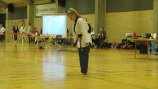 Poomsae Koryo 9  Taekwondo  Munkebo 2014 [upl. by Cottle]