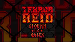 Terror Reid  Stormin Tha Gatez [upl. by Colinson]